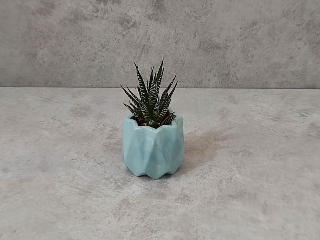  قیمت و خرید گلدان سنگی لوتوس ۷سانتی 